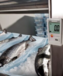 Alternative view of Testo 174 T set Mini Temperature Data Logger