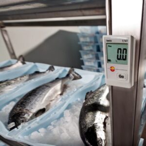 Alternative view of Testo 174 T set Mini Temperature Data Logger